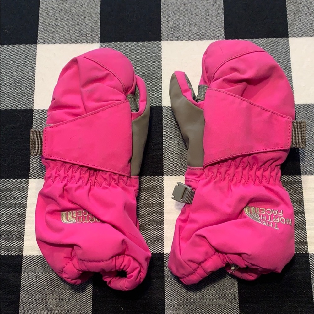 North face mittens.  Need a good cleaning